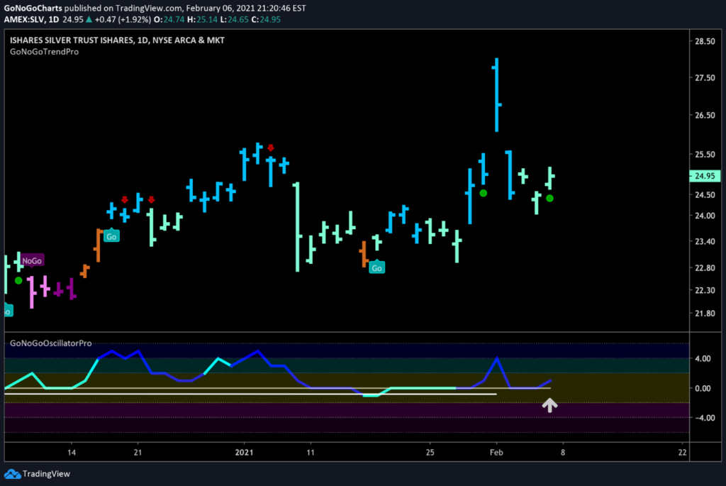 Daily price chart of Silver ETF