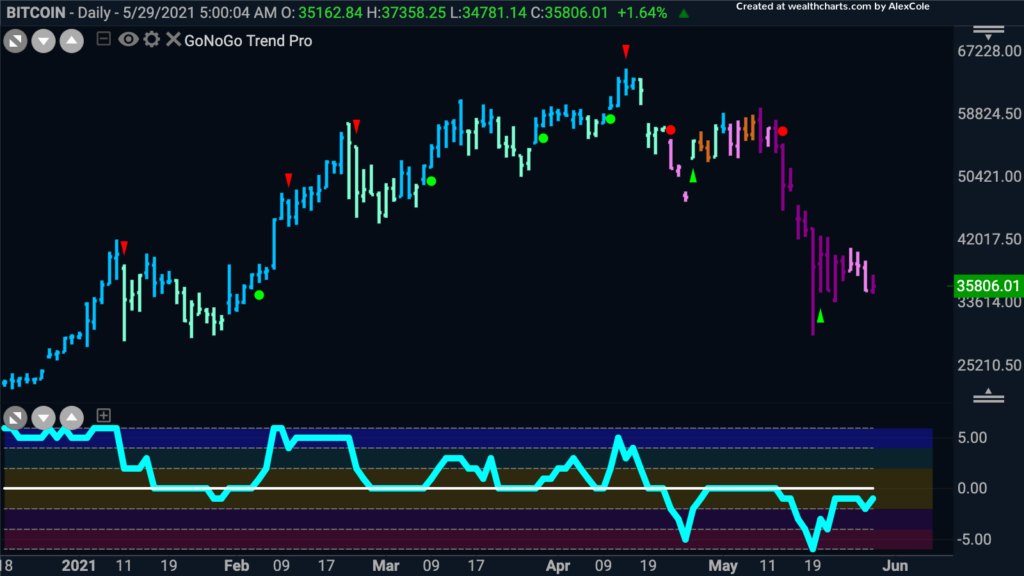 XBTUSD GoNoGo trend 052921