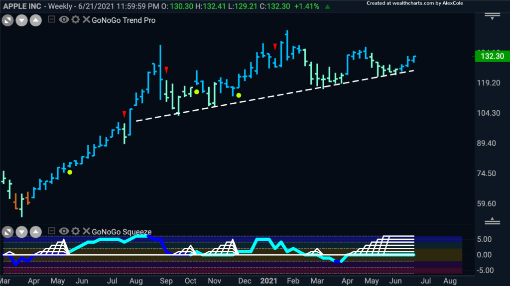 $AAPL Apple Weekly GoNoGo Trend 062221