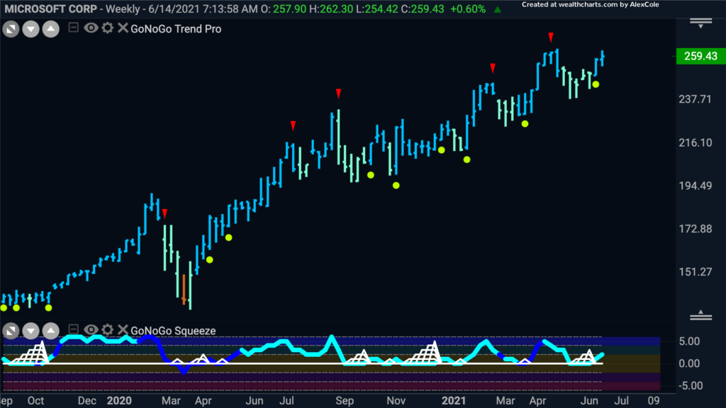 MSFT weekly GoNoGo 062221