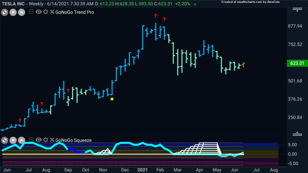 TSLA GoNoGo weekly 062221