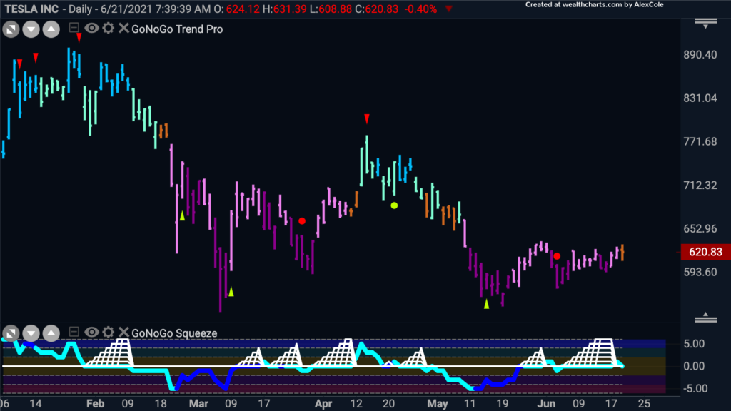 TSLA daily GoNoGo 062221