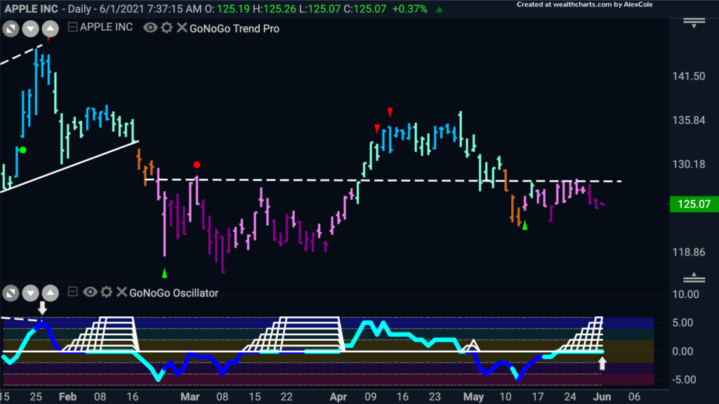 aapl daily GoNoGo 060121