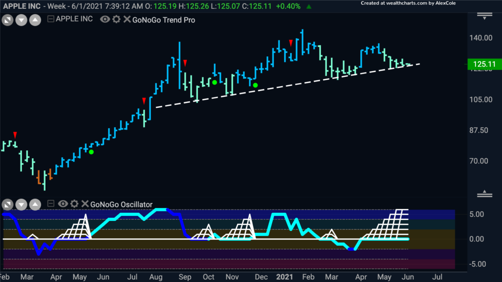 aapl weekly GoNoGo 060121