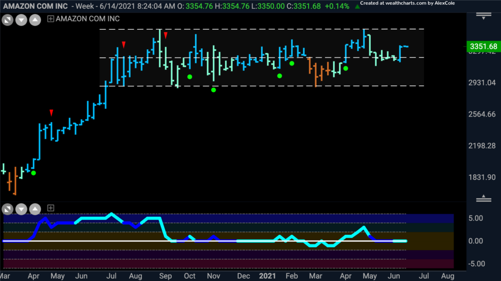 amzn weekly gonogo 061421