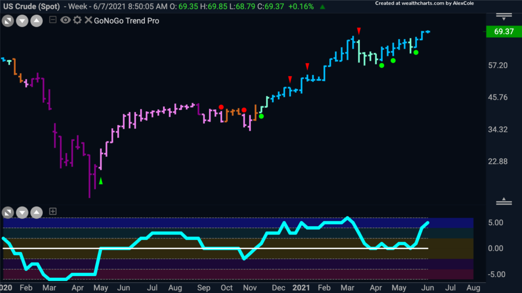 us crude gonogo weekly 060821