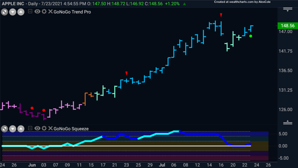 AAPL FP 072521