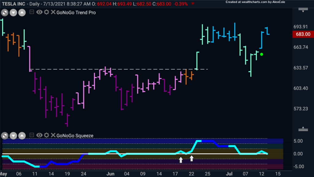 TSLA reentry 071221