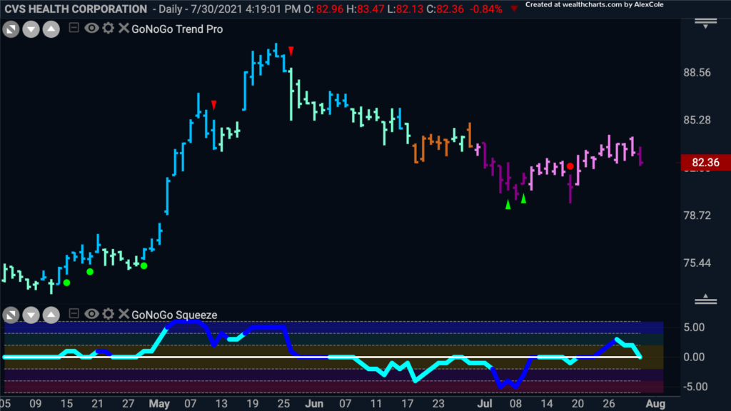 CVS daily FP 080121 2