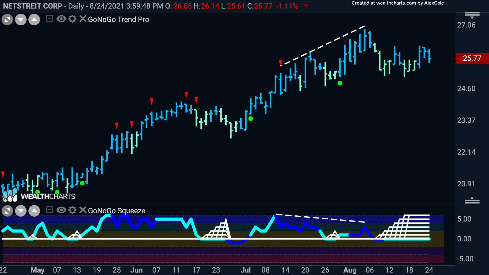 Which way for Netstreit Corp?