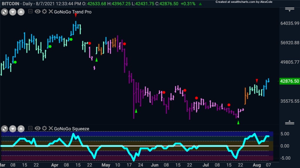 XBTUSD GoNoGo daily 080721 1