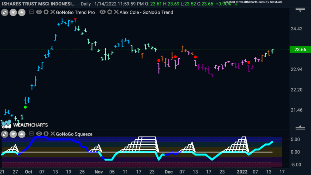 EIDO daily GoNoGo FP 011722