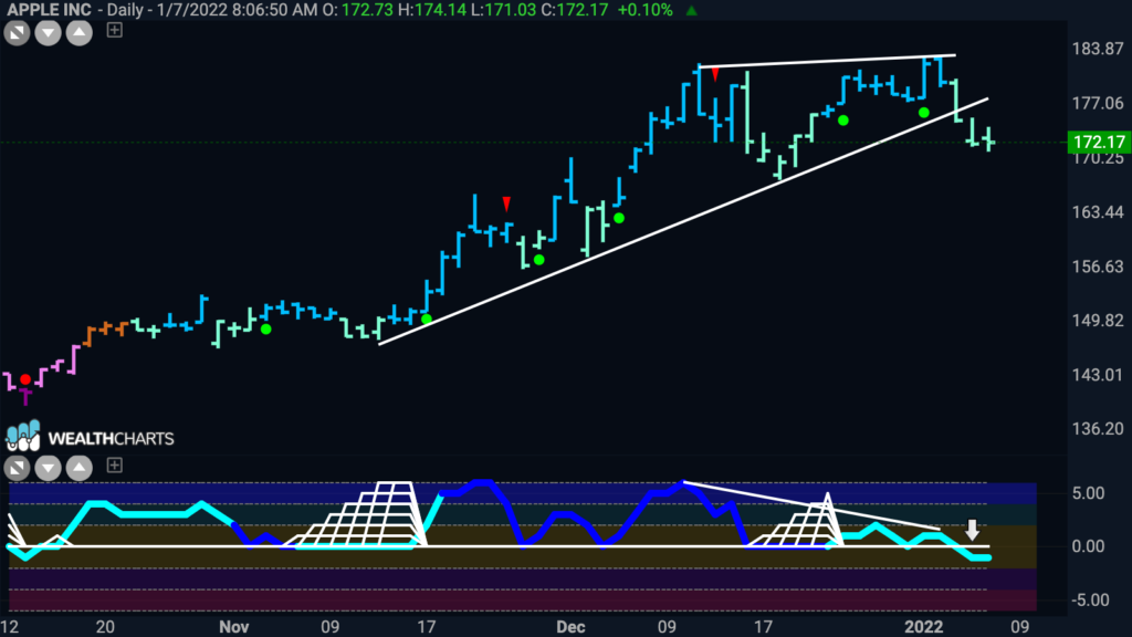 aapl daily gonogo trend 011022