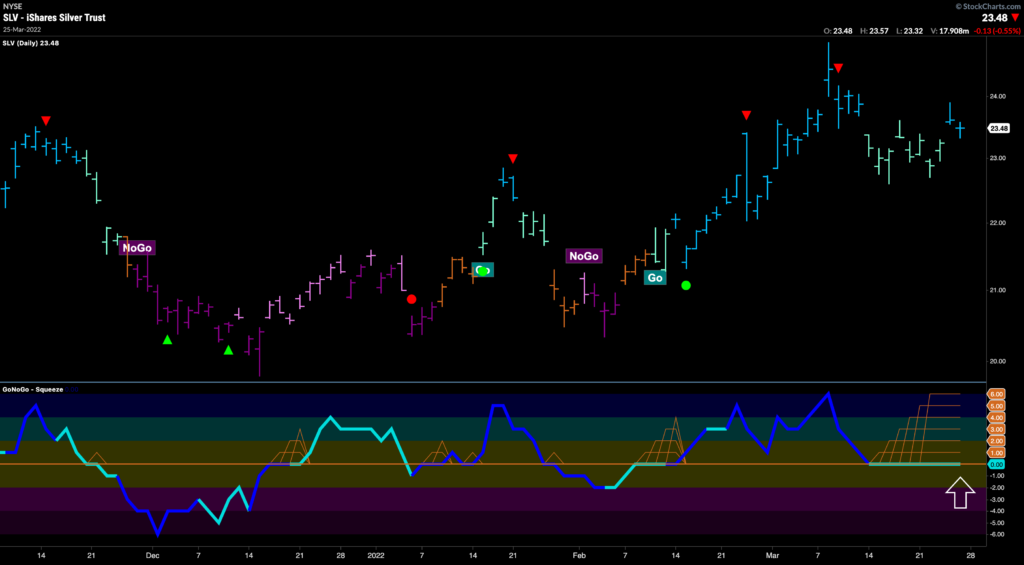 SLV daily 032822