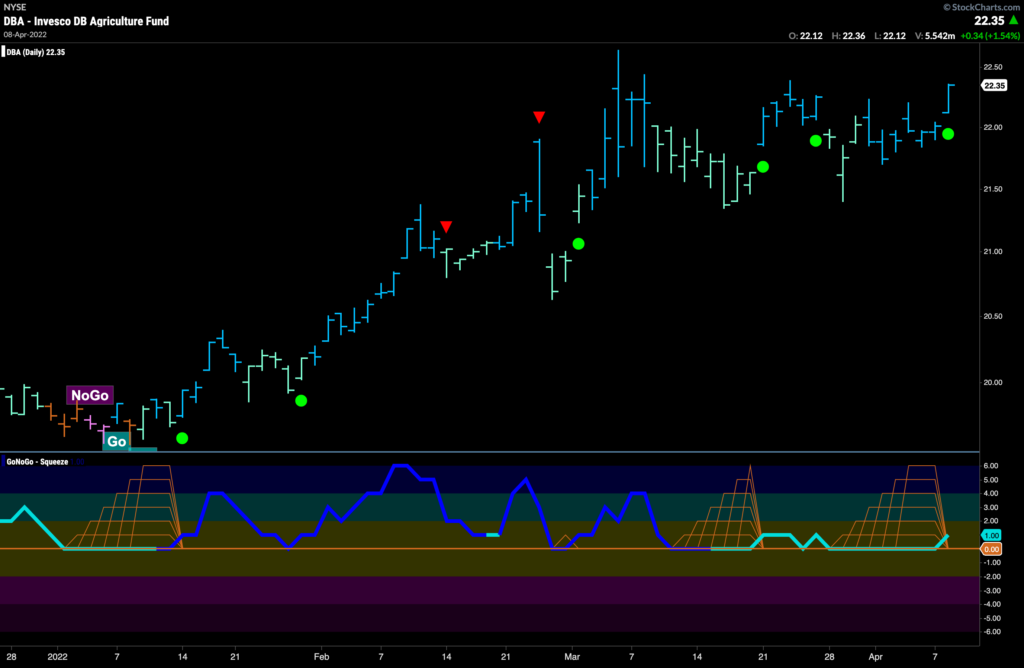 dba daily 041122