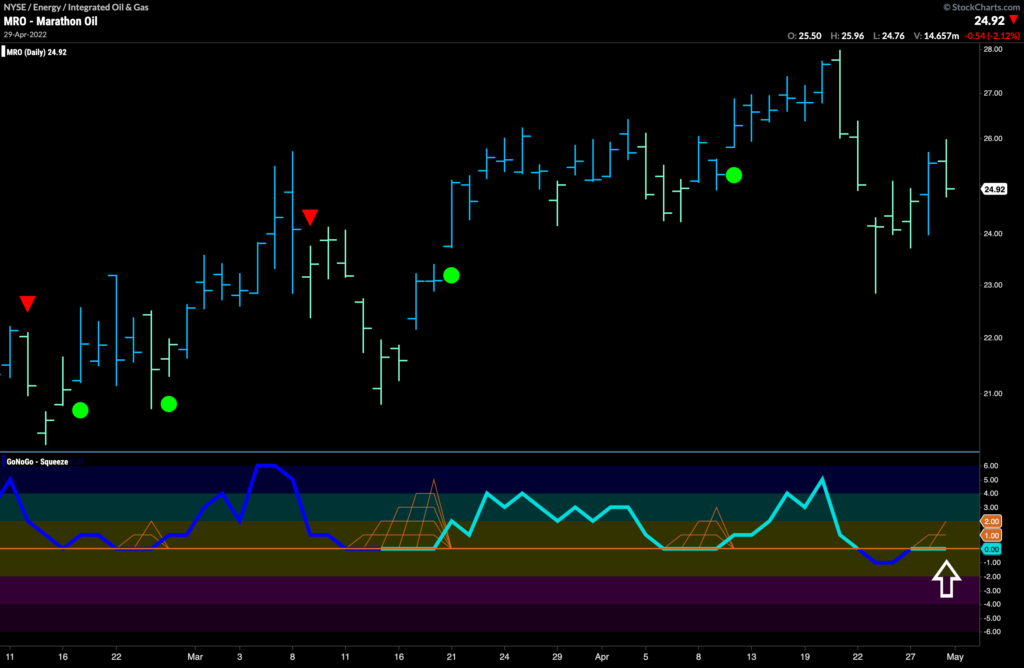 mro daily 050222