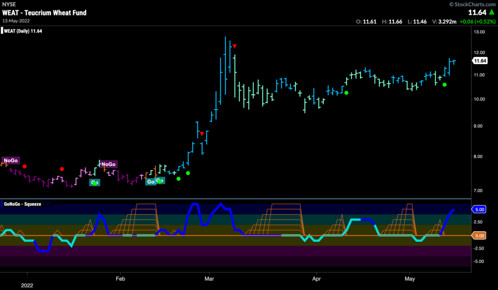 weat daily 051522