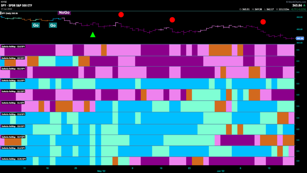 relmap 062122