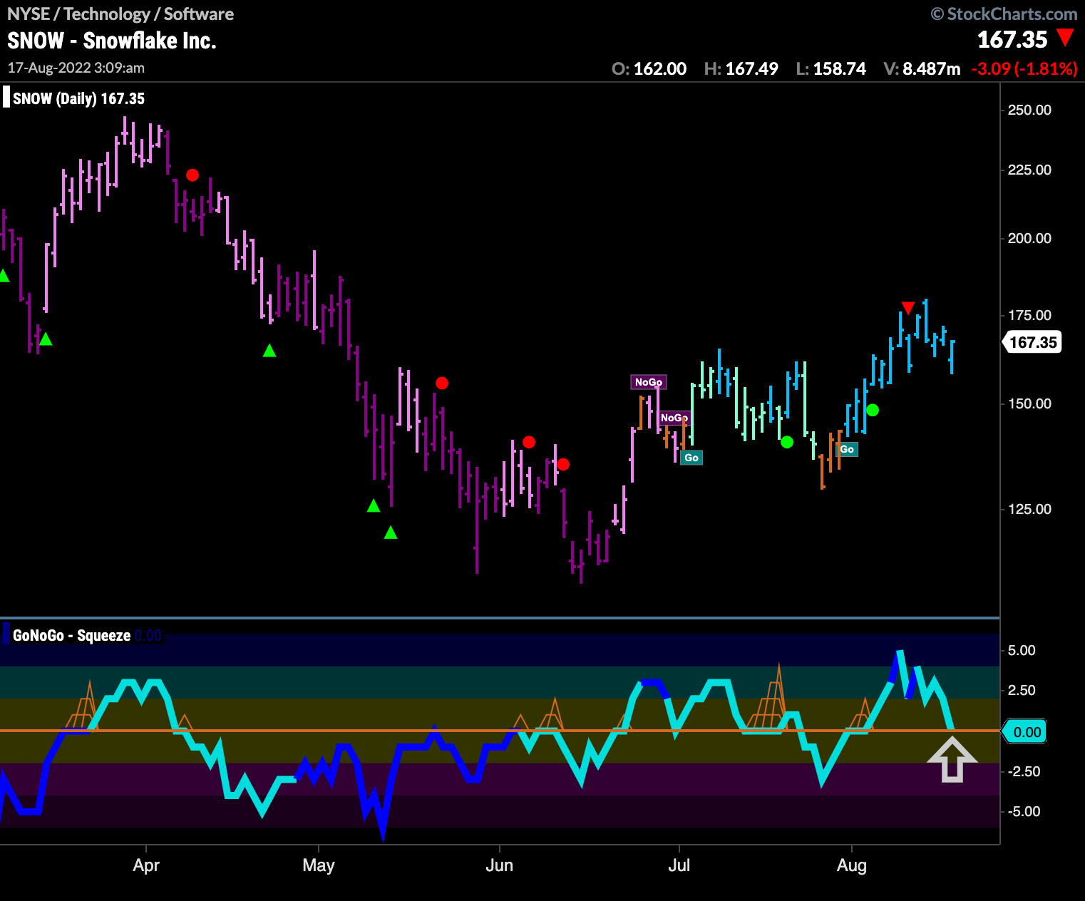 $SNOW sees pause in new “Go”, looks for momentum