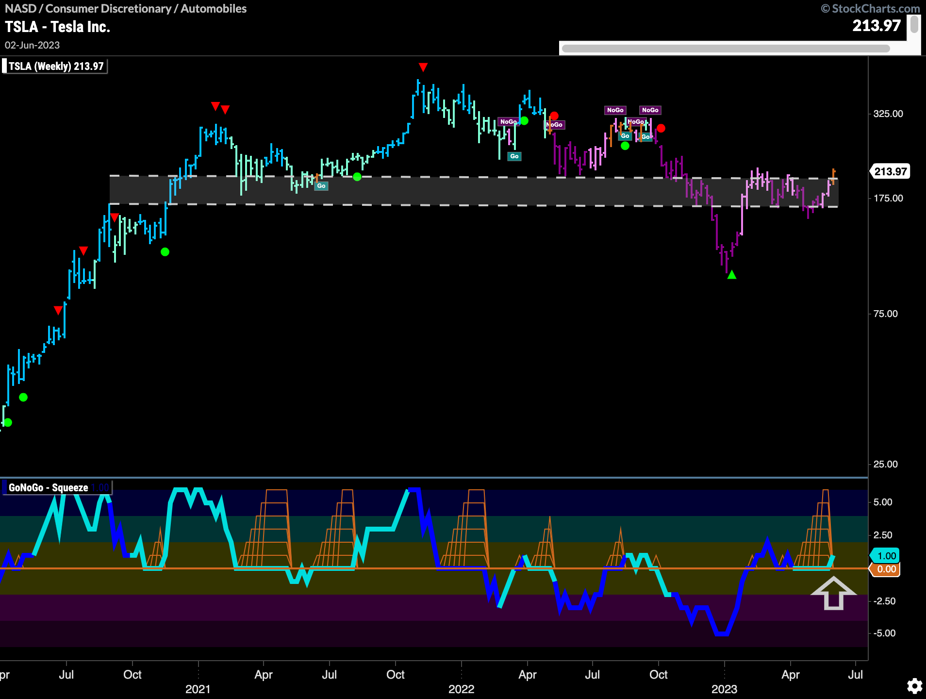 TSLA W 060523