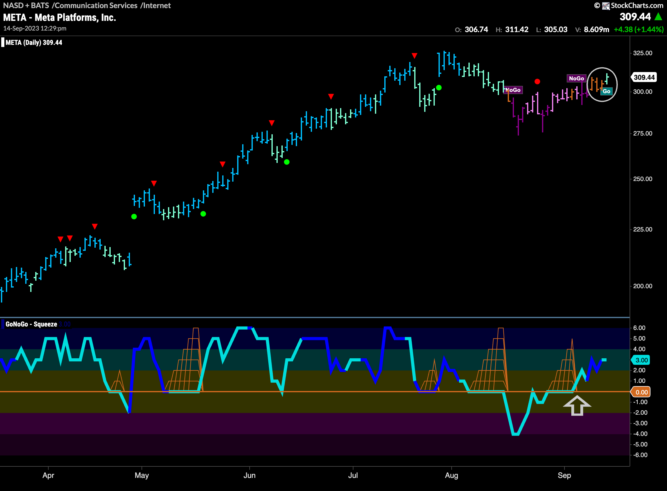 $META flags new “Go” trend as direction established