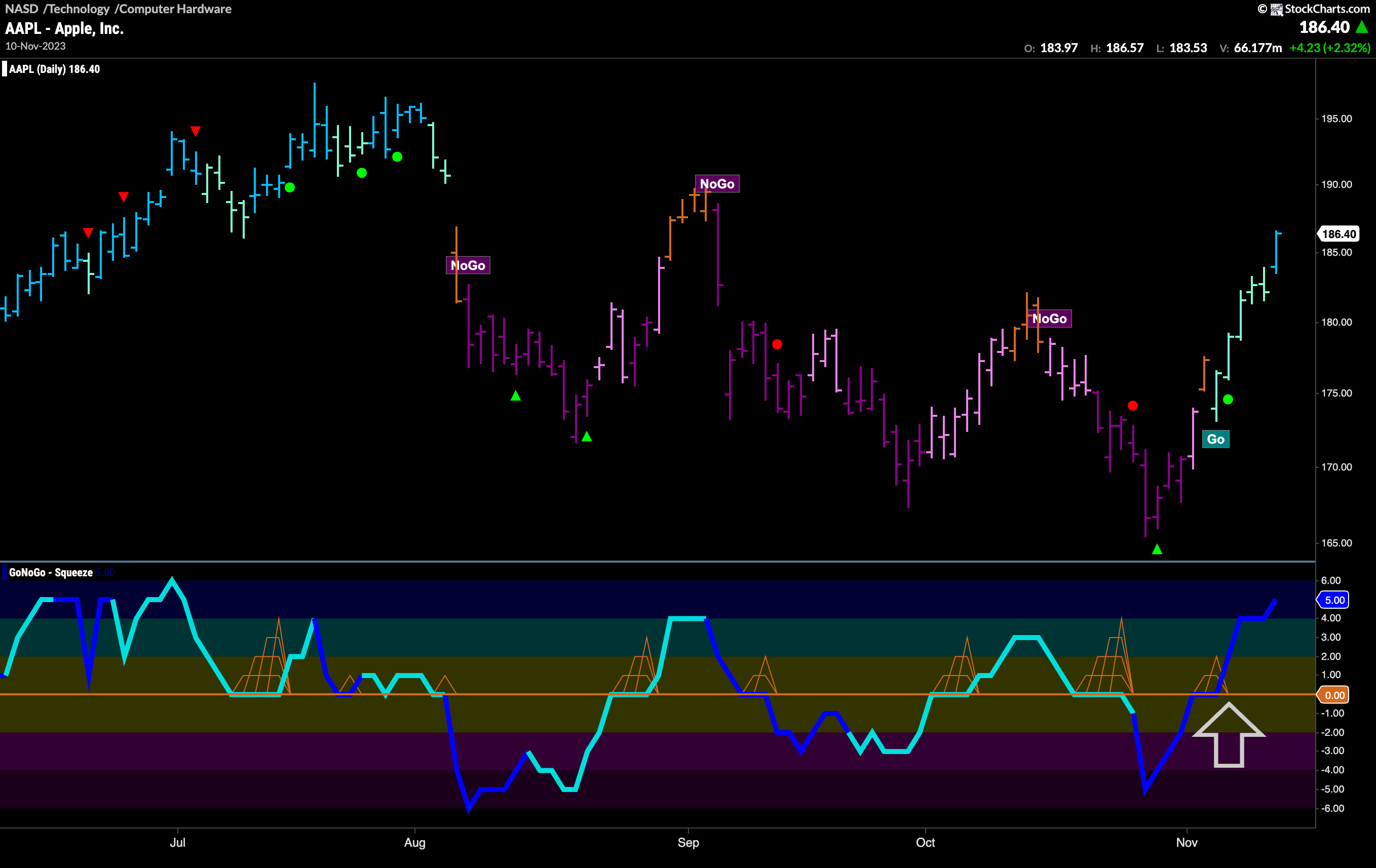 AAPL d 111323