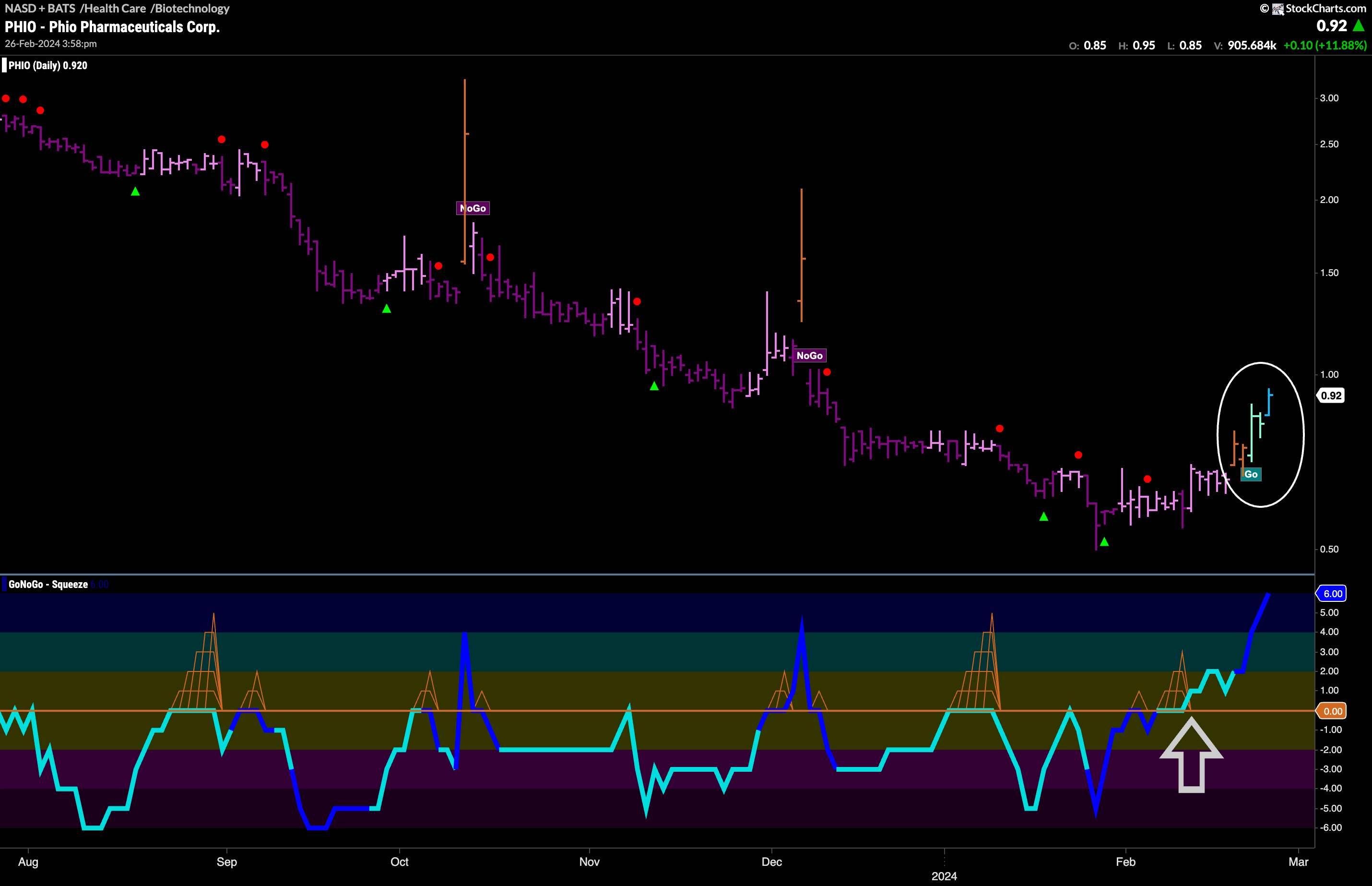 $PHIO Finally a “Go”?