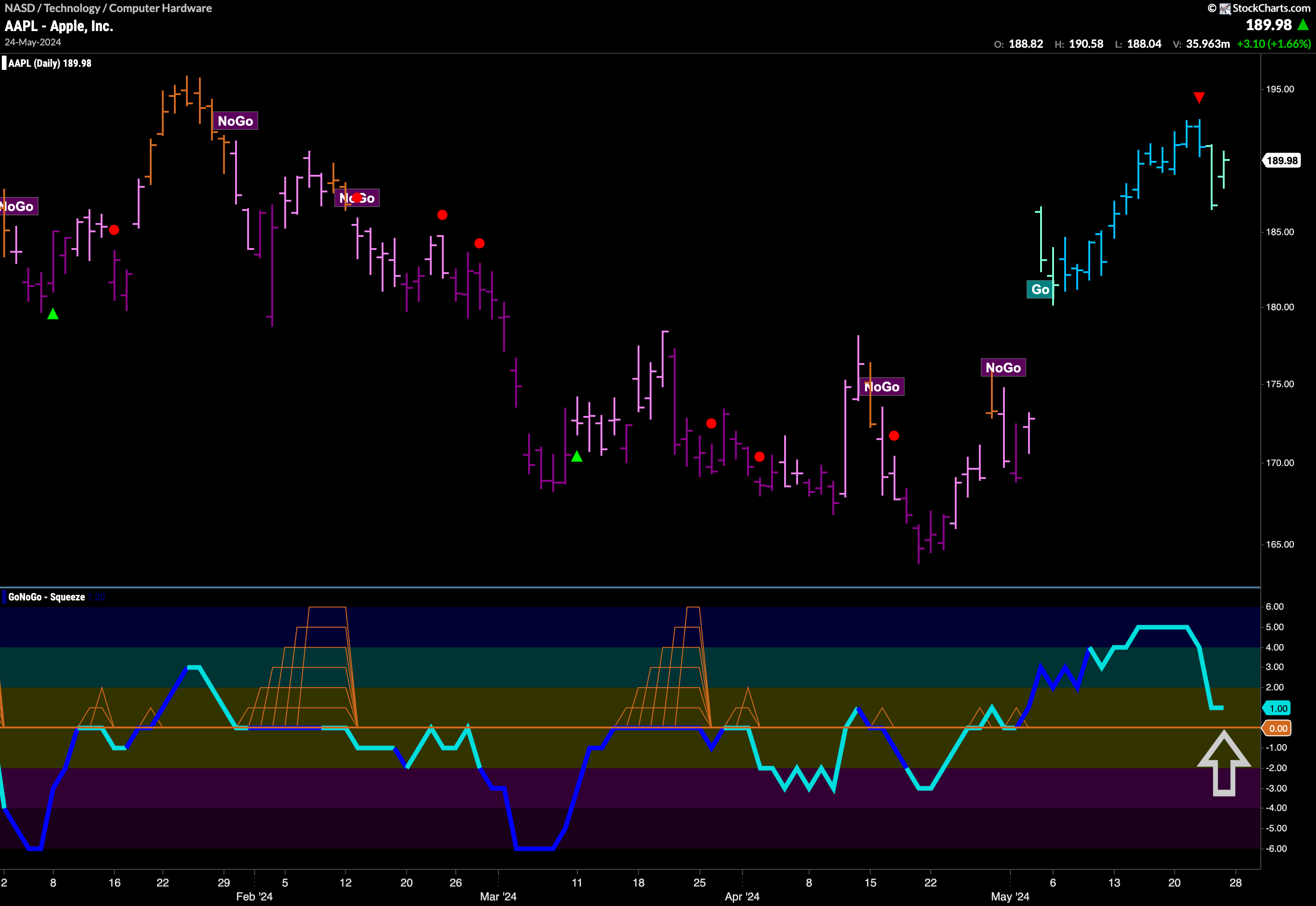 AAPL 10