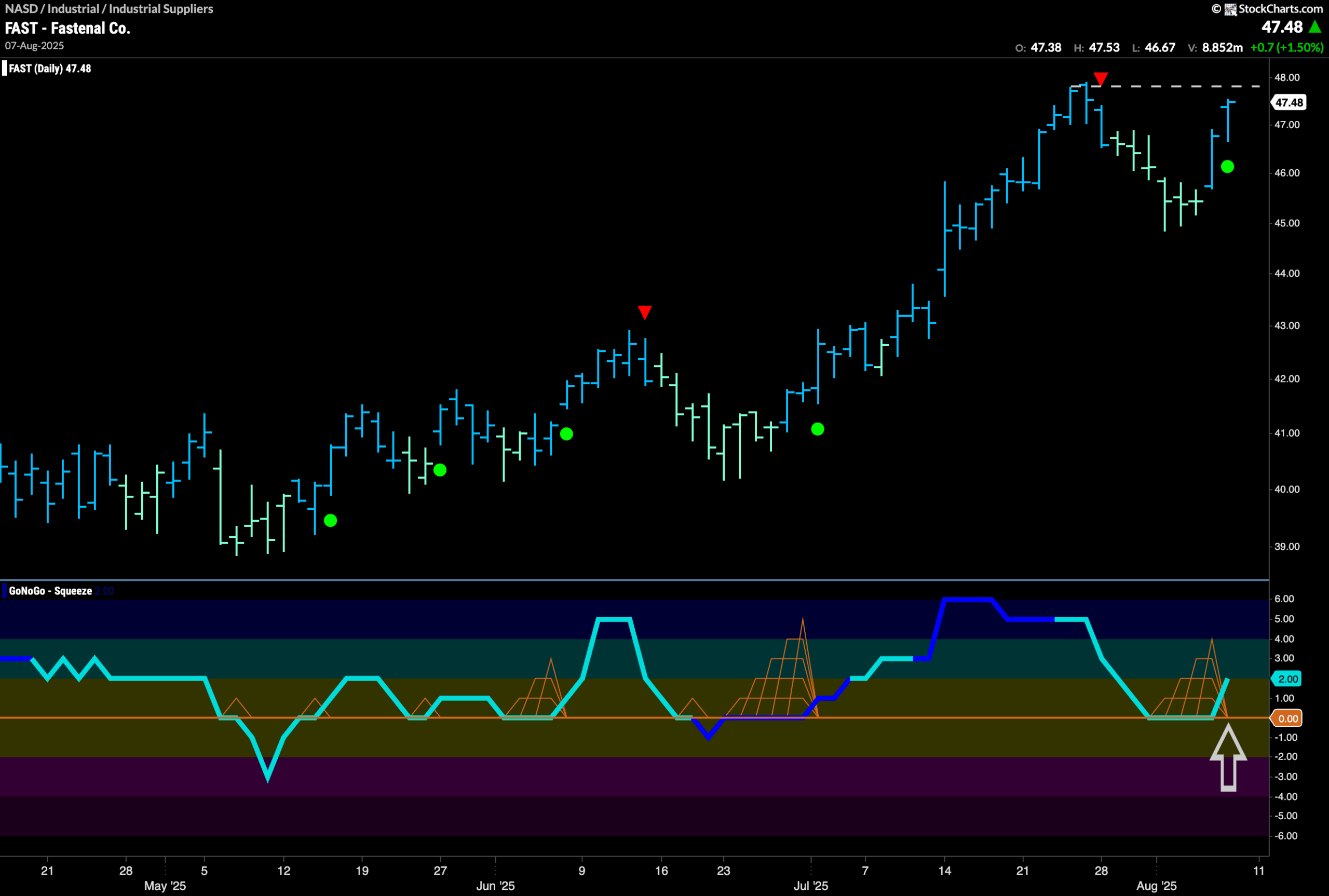 $FAST Looks for New High in “Go” Trend